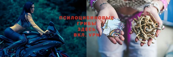 мяу мяу мука Костерёво