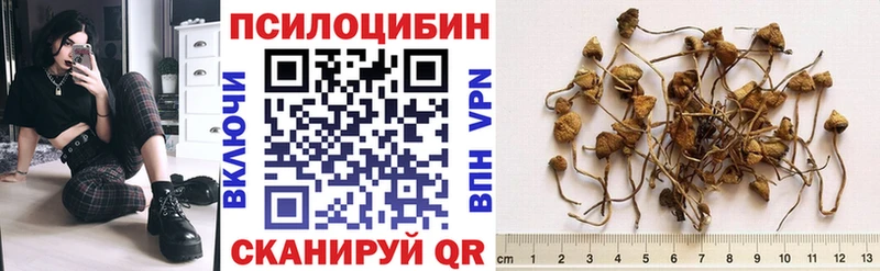 Галлюциногенные грибы MAGIC MUSHROOMS  Малгобек 